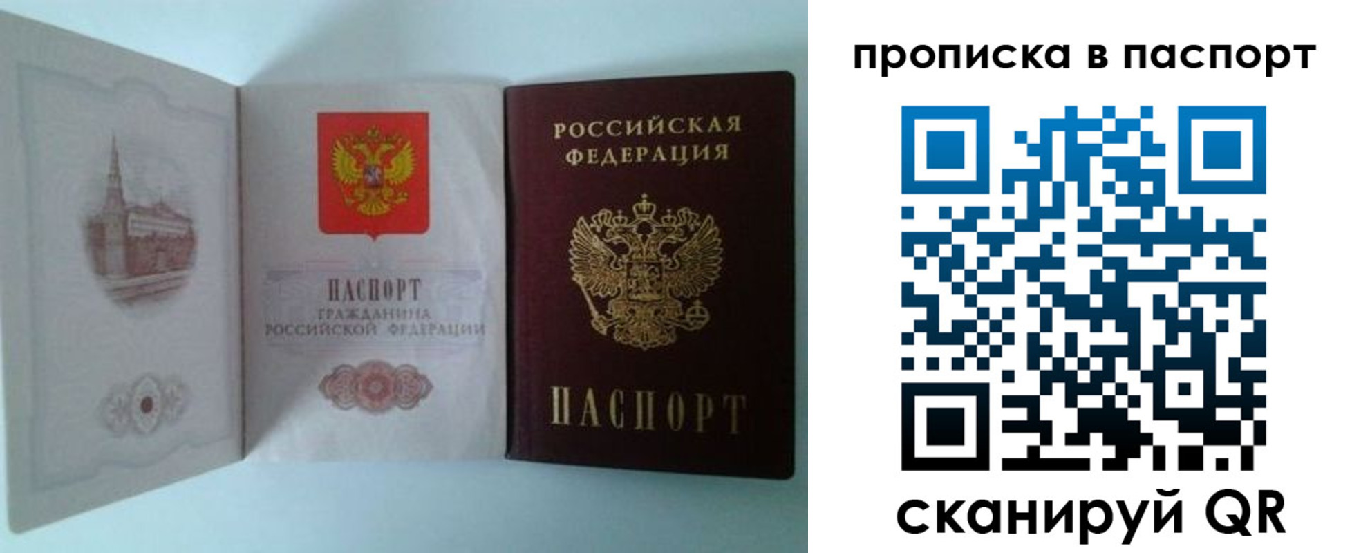 прописка в квартире в Ртищево